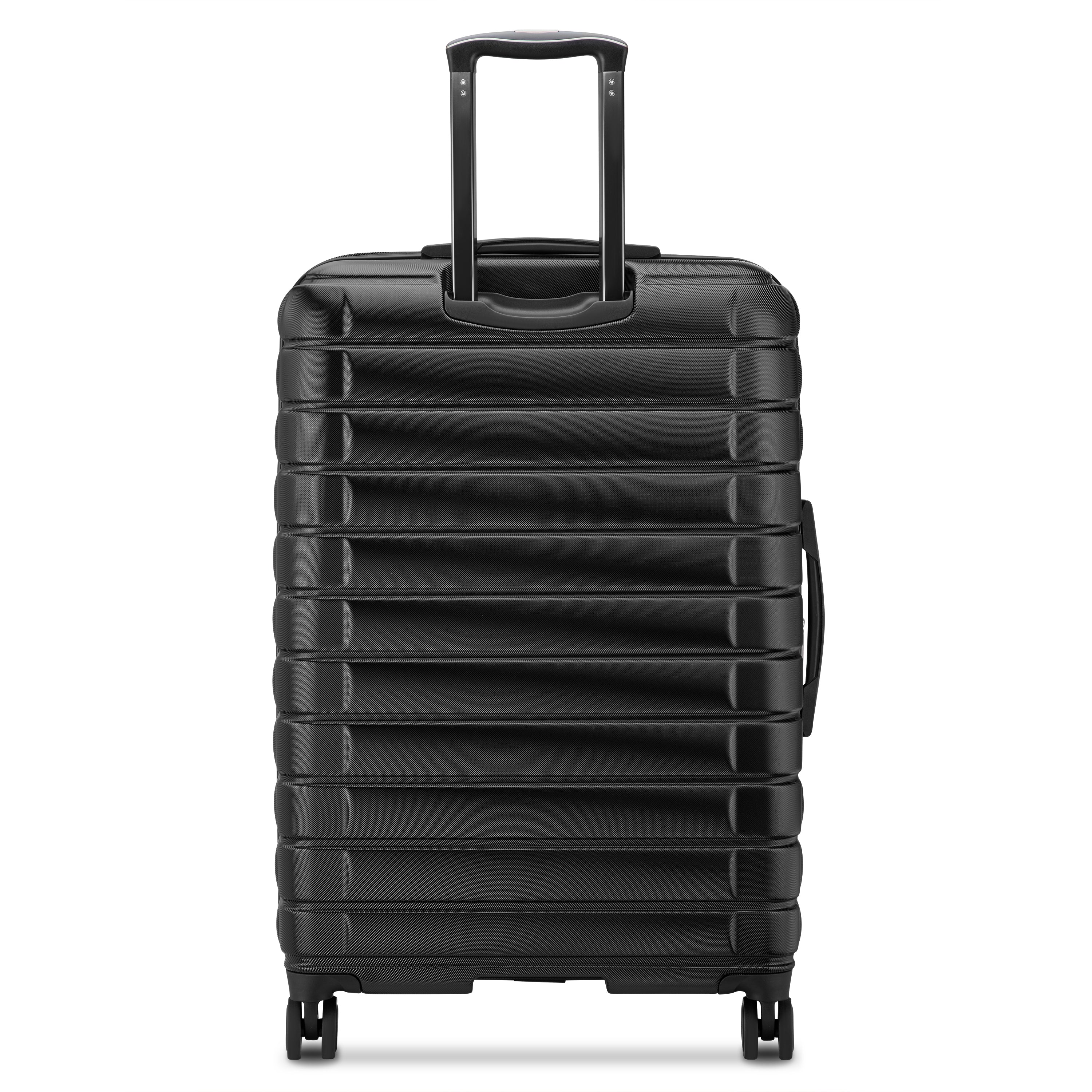 ELEGANCE - L (75cm) - Image 3